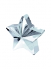 Utezi BALLOON WEIGHT STAR SILVER 170g